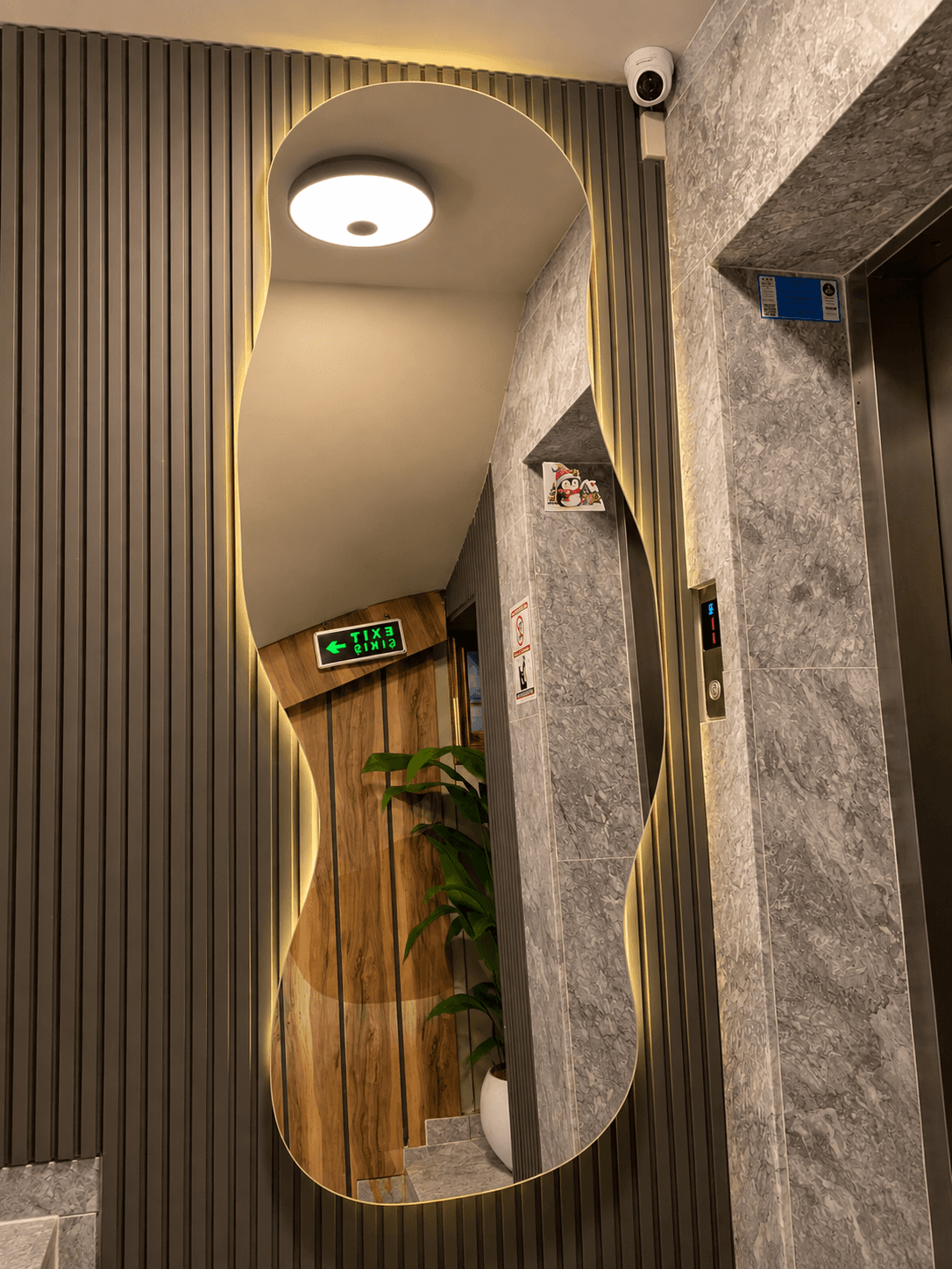 Aymira Suite Hotel otel giriş ve resepsiyon alanı, fotoğraf 10